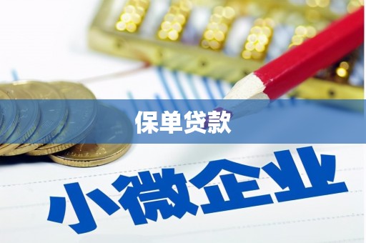 天元保单贷款 天元保单贷款