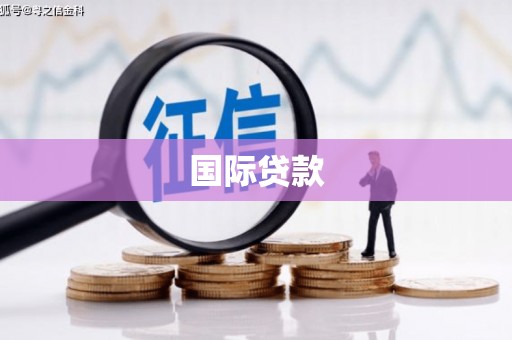 天元国际贷款